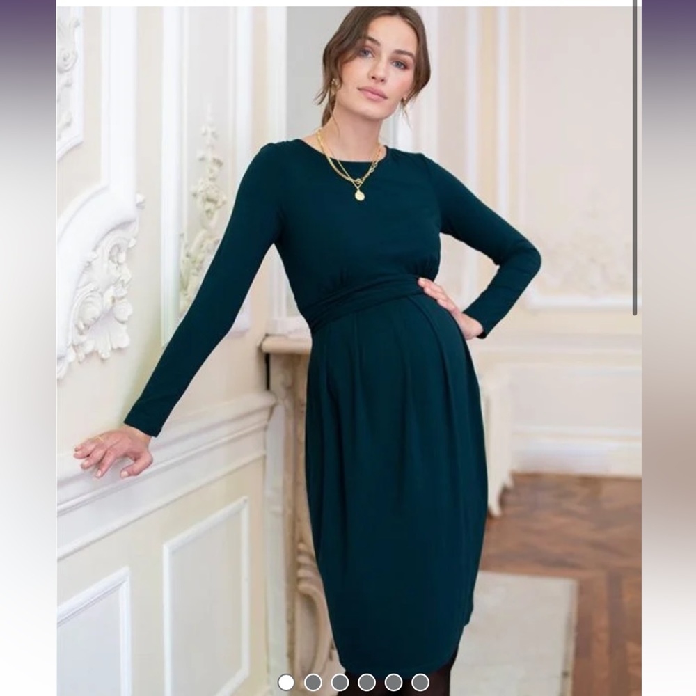 Seraphine nursing and maternity dress